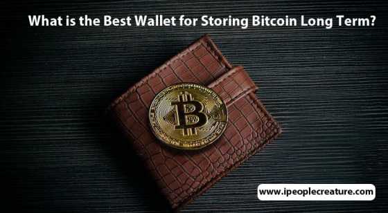 What is the Best Wallet for Storing Bitcoin Long Term? | www.ipeoplecreature.com