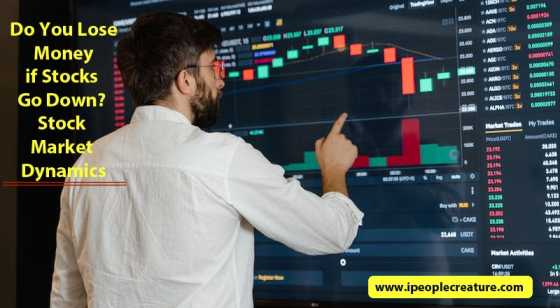 Do You Lose Money if Stocks Go Down? Stock Market Dynamics | www.ipeoplecreature.com
